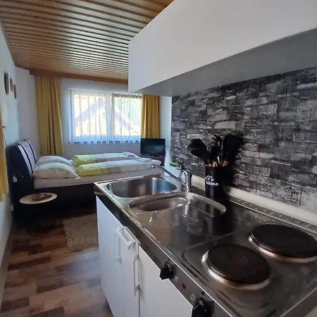 Apartment Mani‘s Radstadt